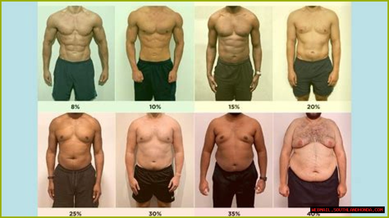 A Comprehensive Analysis Of Her Body Fat Percentage