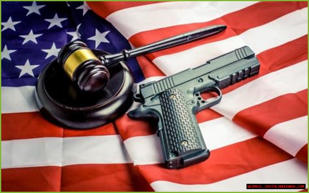 Dana Loesch On Politics And Gun Rights