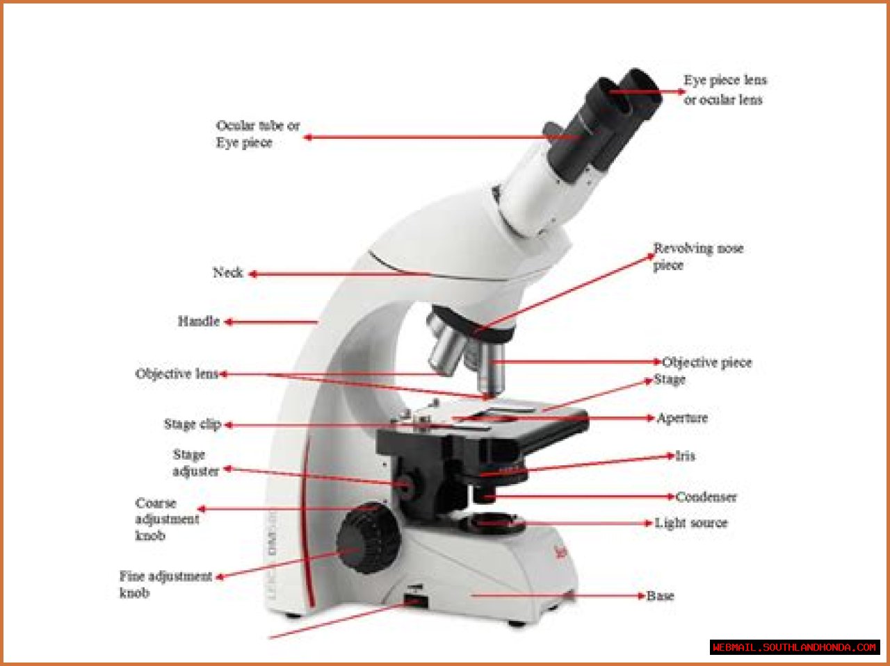 Essential Guide To Understanding The Parts Of A Dissecting Microscope