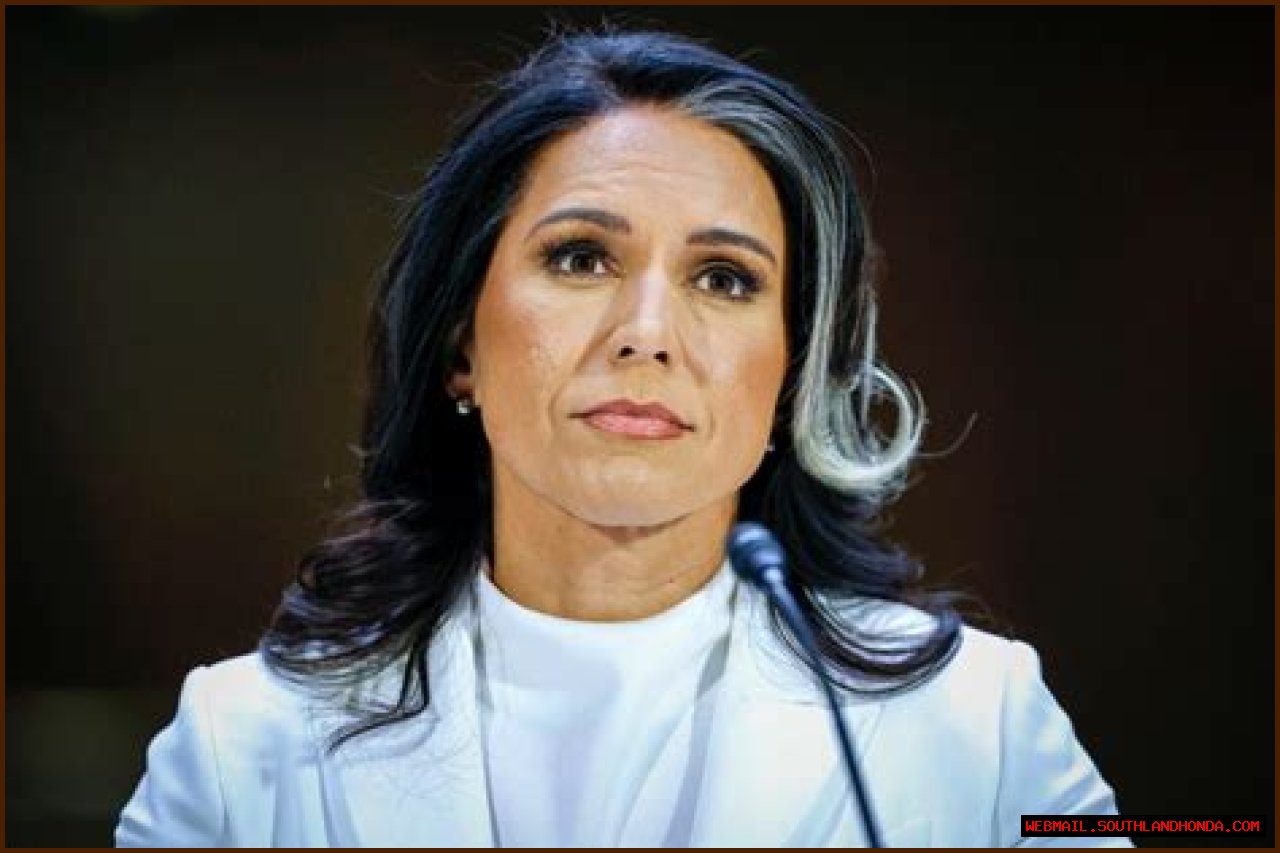 How Old And Tall Is Tulsi Gabbard? Age And Height Explored