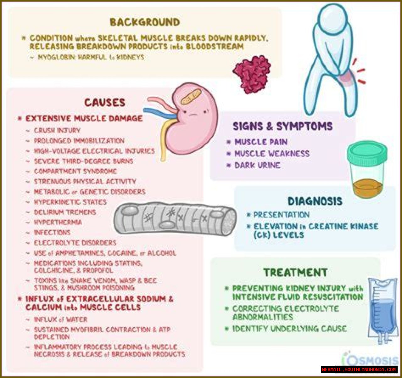 Understanding Hasbulla Disease: Causes, Symptoms, And Treatment
