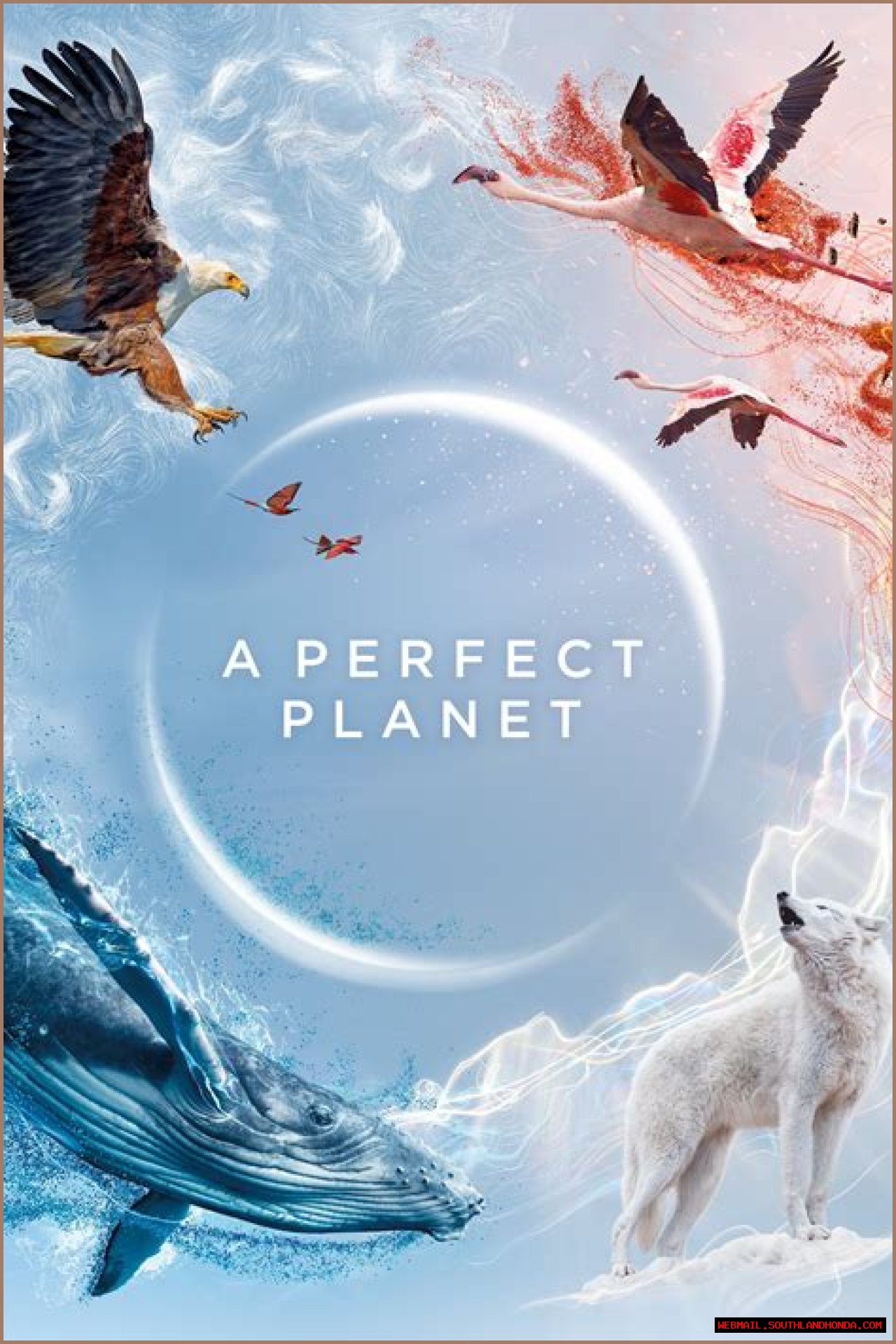 Unleashing The Wonders Of 'A Perfect Planet': Discoveries By Kpkuang